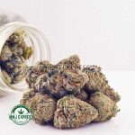 Buy Cannabis Gorilla Glue #4 AAA at MMJ Express Online Shop