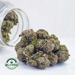 Buy Cannabis Pink Rockstar AAAA at MMJ Express Online Shop