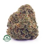 Buy Cannabis Pineapple Express AAA at MMJ Express Online Shop