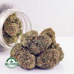 Buy Cannabis Pineapple Express AAA at MMJ Express Online Shop