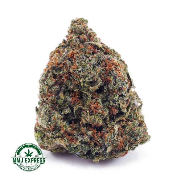 Buy Cannabis Super Skunk AA at MMJ Express Online Shop