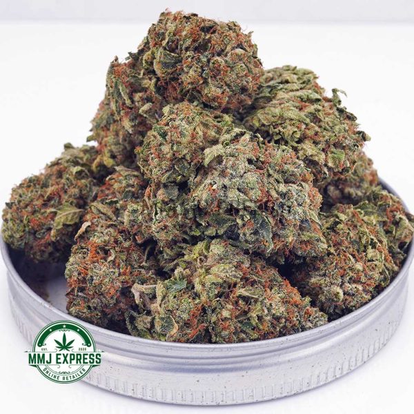 Buy Cannabis Super Skunk AA at MMJ Express Online Shop