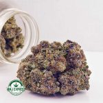 Buy Cannabis Hawaiian Pink Punch AAAA+, Craft at MMJ Express Online Shop