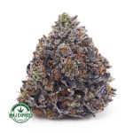 Buy Cannabis Pink Rob Ford AAAA+, Craft at MMJ Express Online Shop