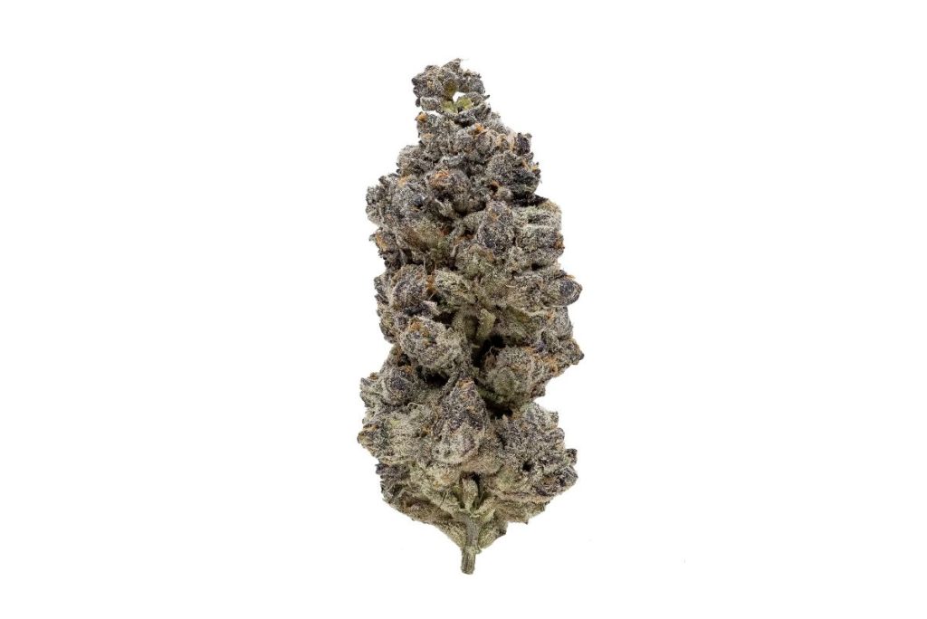 It’s true that weed is expensive, but you don’t have to live up to these words. Here are tips & tricks to help you buy discount buds online in Canada. 