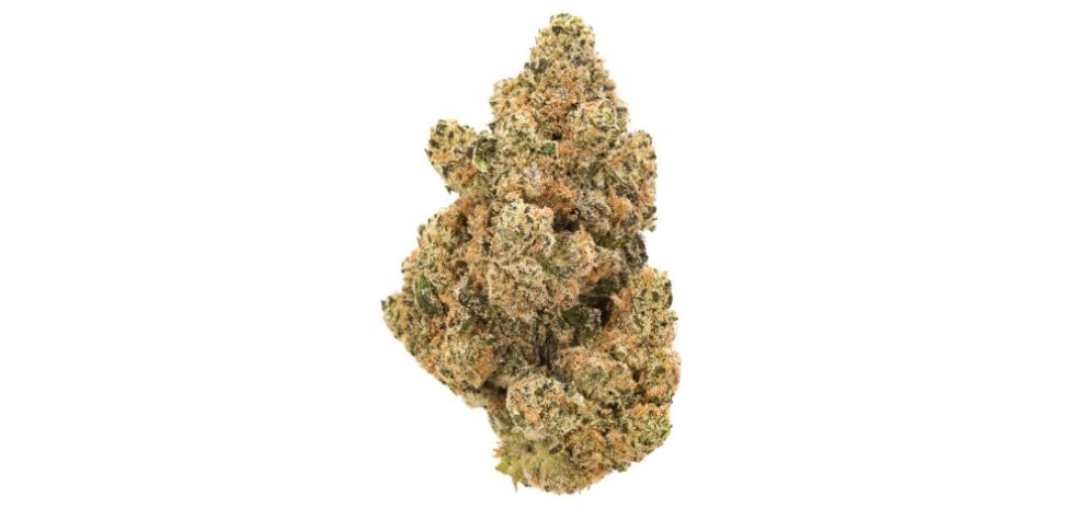 The best thing about buying weed online in Canada is the wide product selection. Our online weed dispensary offers many exclusive and affordable options. 