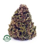 Buy Cannabis Amnesia Haze AA at MMJ Express Online Shop