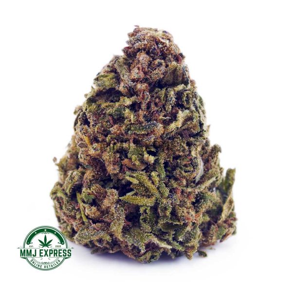 Buy Cannabis Amnesia Haze AA at MMJ Express Online Shop