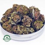 Buy Cannabis Amnesia Haze AA at MMJ Express Online Shop