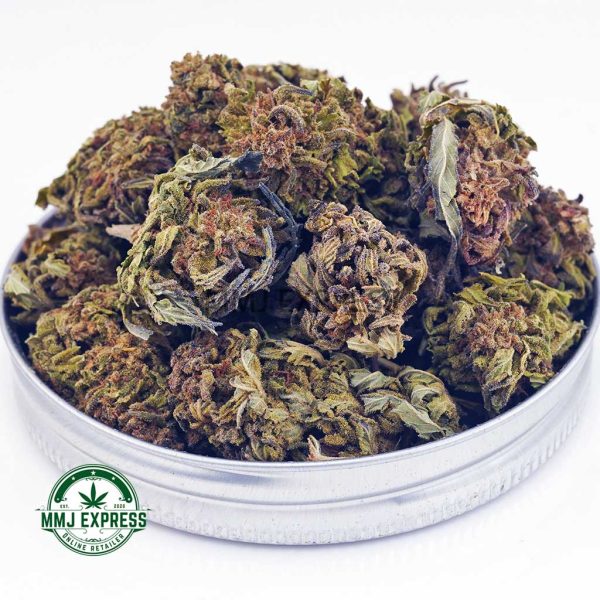 Buy Cannabis Amnesia Haze AA at MMJ Express Online Shop