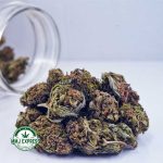 Buy Cannabis Amnesia Haze AA at MMJ Express Online Shop