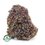 Buy Cannabis Frost Fruit Cake AAAA at MMJ Express Online Shop