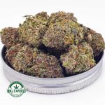 Buy Cannabis Frost Fruit Cake AAAA at MMJ Express Online Shop
