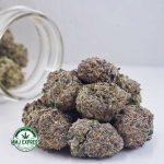 Buy Cannabis Dragon Fruit Kush AAAA at MMJ Express Online Shop