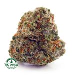 Buy Cannabis Nirvana AAA at MMJ Express Online Shop