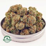 Buy Cannabis Nirvana AAA at MMJ Express Online Shop