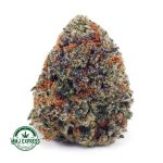 Buy Cannabis Strawberry Cheesecake AAA at MMJ Express Online Shop