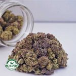 Buy Cannabis Thin Mintz AAAA (Popcorn Nugs) at MMJ Express Online Shop