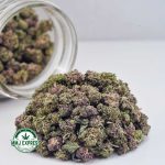 Buy Cannabis Slurricane AAAA (Popcorn Nugs) at MMJ Express Online Shop