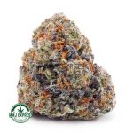 Buy Cannabis Animal Cookies AAA at MMJ Express Online Shop