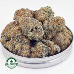 Buy Cannabis Animal Cookies AAA at MMJ Express Online Shop