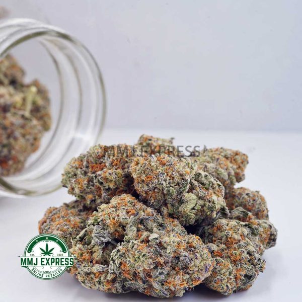 Buy Cannabis Animal Cookies AAA at MMJ Express Online Shop