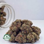 Buy Cannabis Blueberry Cheesecake AAAA at MMJ Express Online Shop