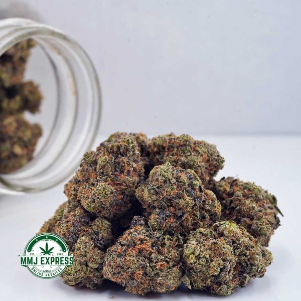 Buy Cannabis Blueberry Cheesecake AAAA at MMJ Express Online Shop