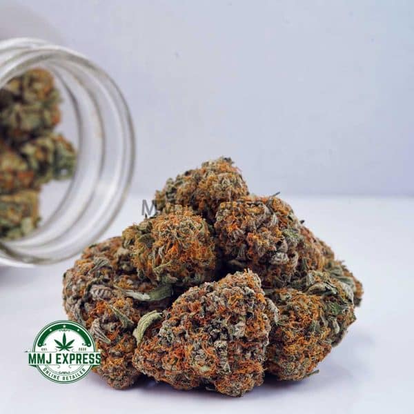 Buy Cannabis Island Kush AA at MMJ Express Online Shop