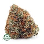 Buy Cannabis Bluefin Tuna AAA at MMJ Express Online Shop