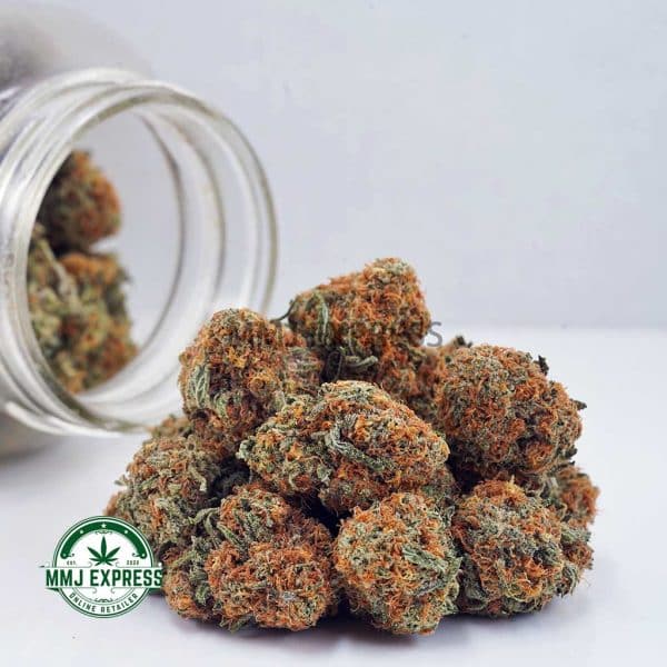 Buy Cannabis Bluefin Tuna AAA at MMJ Express Online Shop