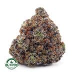 Buy Cannabis Holy Grail AAAA at MMJ Express Online Shop
