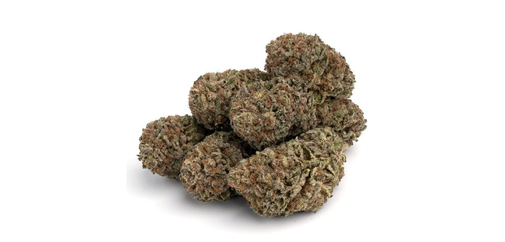 Most users tend to find it easy to tolerate this strain. While the THC content exceeds 20%, the psychoactive effects tend to creep in slowly, thus giving you ample time to adjust. 