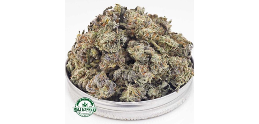 The Lemon Haze AAA (Popcorn Nugs) is a Sativa-hybrid and one of the tastiest Vancouver BC weed strains you'll try. It tastes like ripe berries freshly picked from the field, mixed with an herbal note. 