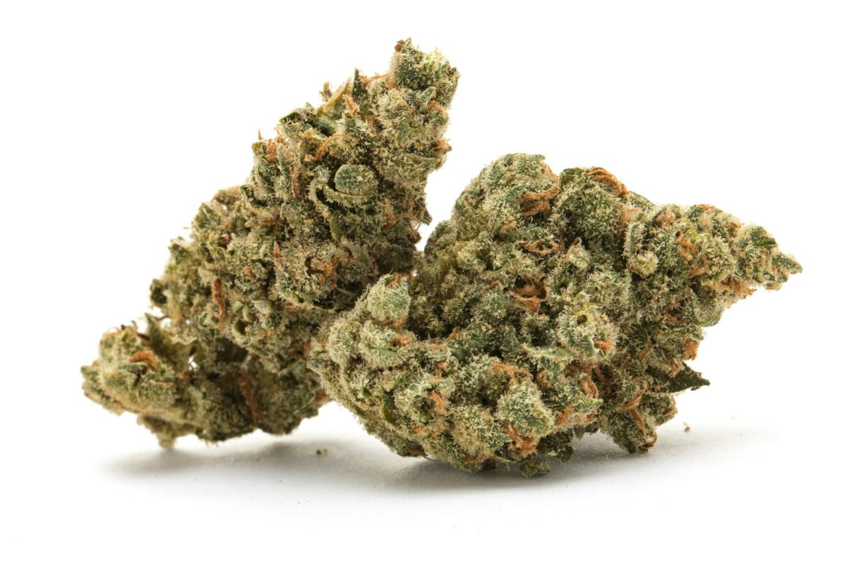 MK Ultra in Canada is not just a typical strain but a perfect evening companion. It’s ideal for unwinding & relaxing after a day of work. Find out more.