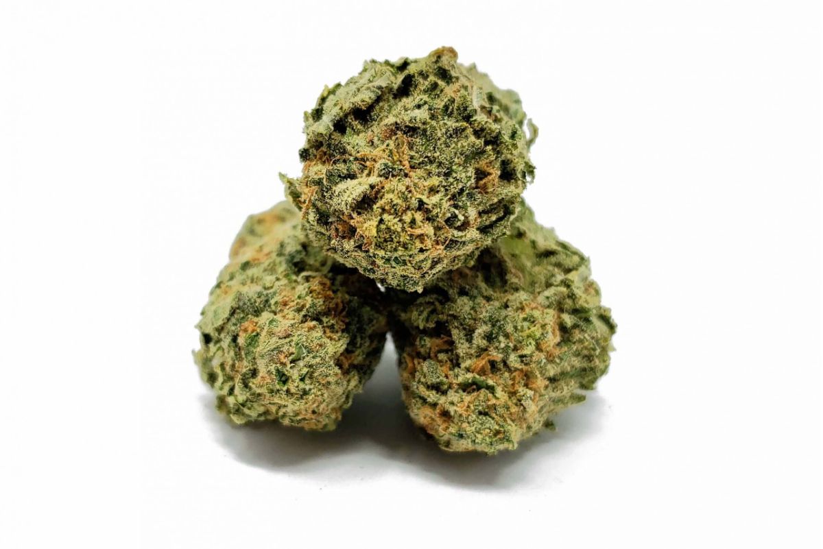 Puta Breath weed offers a unique aroma, flavour, and potency combination that you don't want to miss. Find out more in this article. 