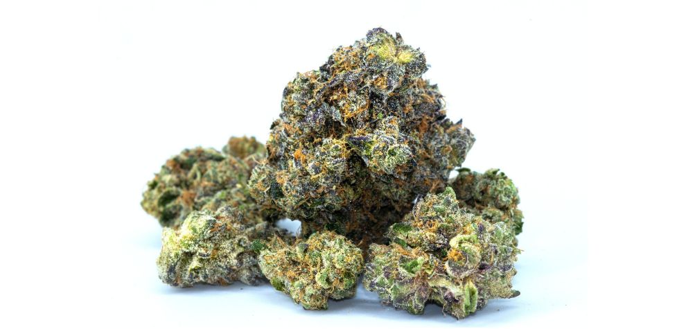 This strain is very potent. The Runtz strain in Canada tests at between 19% and 29% average THC content.