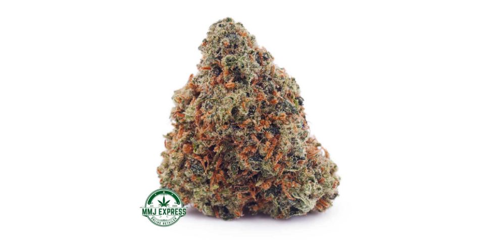 Sour Diesel has stood the test of time. Originating in California in the 1990s, this weed strain is still popular and relevant today. 