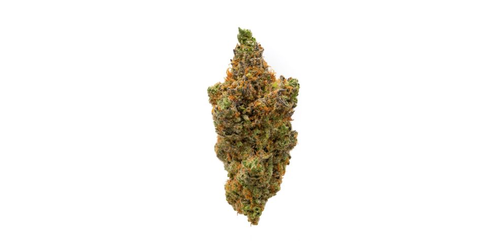 Grape Ape is packed with aroma and flavour that makes it stand out. Thisindicates the presence of myrcene, one of the most dominant terpenes in Grape Ape. 