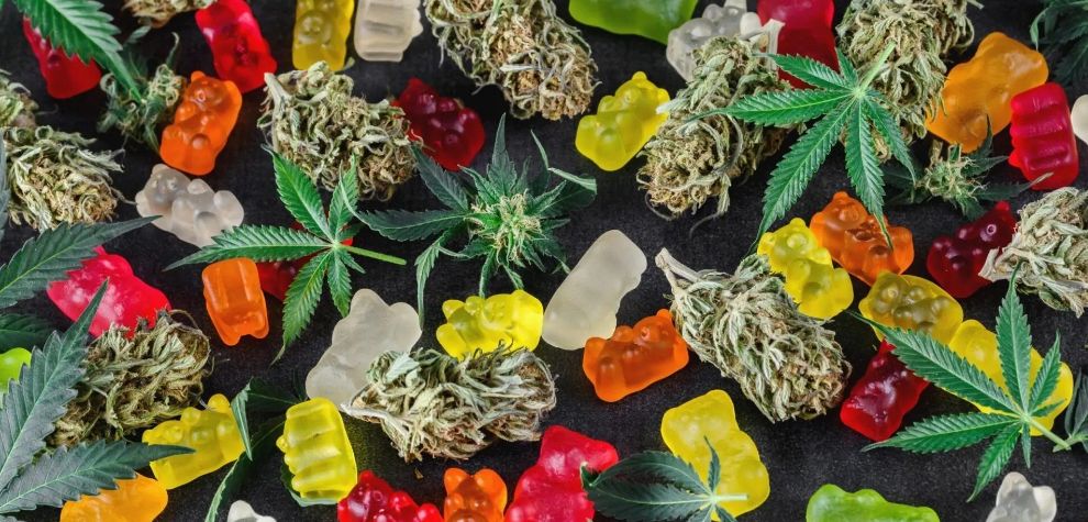 Did you know that there are different types of cannabis gummies? As we mentioned, there is something for everyone. Here are some types of gummies to consider when you order weed online in Canada.