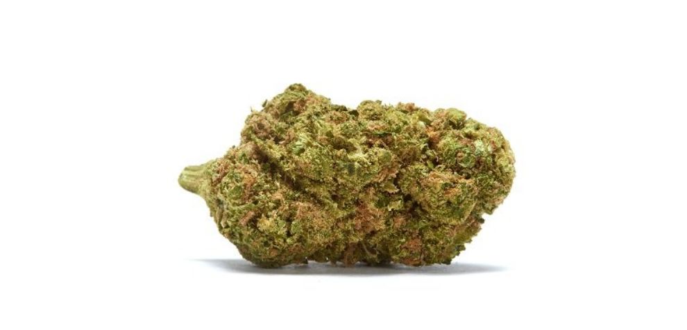 A ganja strain is a classification that aids in determining the plant's chemotype (chemical profile), phenotype (physical appearance), and potential effects. 