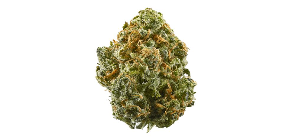 The Blue Dream strain is an unmistakable bud. It has unique, visually striking buds and delicious aromas and flavours that prepare you mentally for the effects to come before you even take a puff.