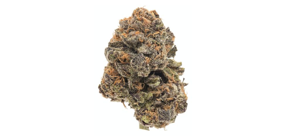 The Grape Ape strain was first bred by Apothecary Genetics, one of California's most popular breeding agencies. 