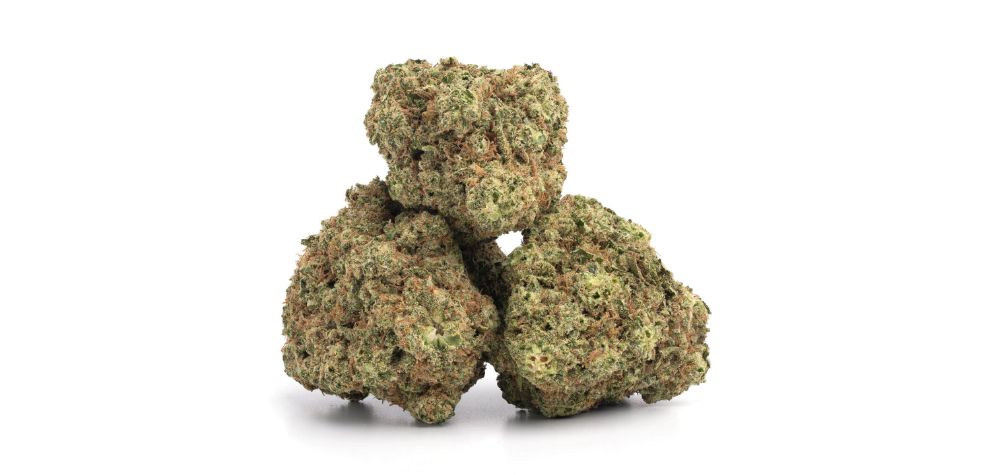 The Puta Breath weed strain is made up of 60% Indica and 40% Sativa genetics, thus an Indica dominant strain. 