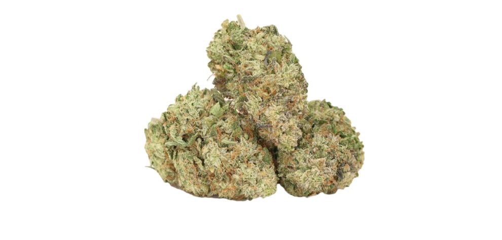 The Bruce Banner pot strikes pretty fast, just like its namesake.  This strain will get you high within no time. 