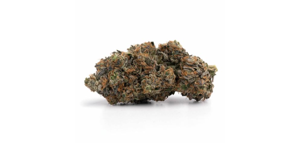 Bruce Banner pot is one of the most potent strains, with THC levels ranging between 25% and 29%. 