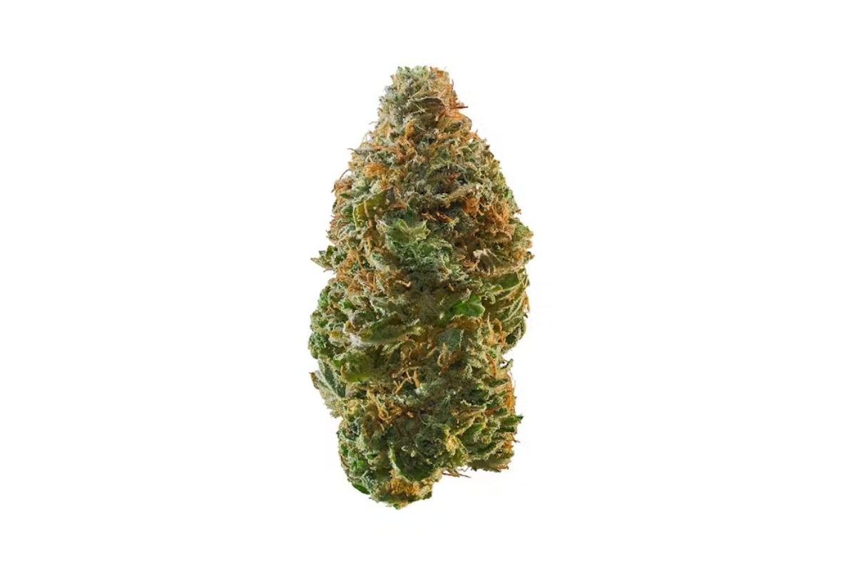 Bruce Banner pot not only talks the talk but also walks the walk. This is not your everyday strain. Discover more in this article before you try it out. 