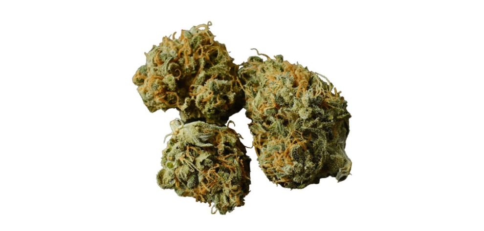 At MMJ Express, we take pride in providing a seamless shopping experience, ensuring our customers receive only the finest mail order cannabis products in Canada.