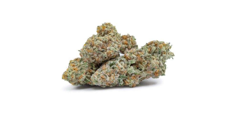 When searching for the best online weed dispensary to buy premium strains like Durban Poison, one stands out: MMJExpress.