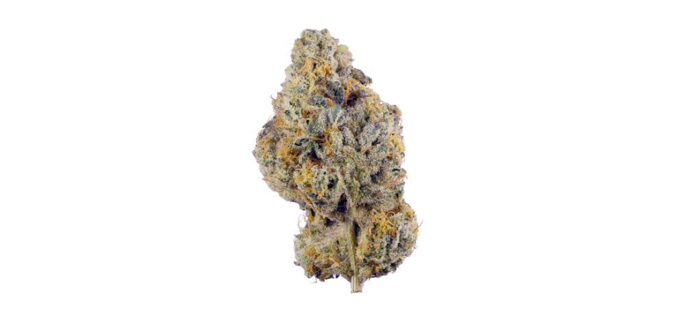 If you are looking for high-quality indica pot strains, order weed online at MMJ Express today. MMJ Express is the leading cannabis dispensary in Canada, known for offering premium buds at the lowest prices.